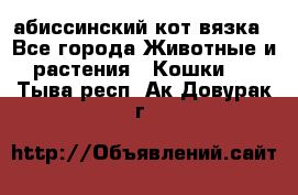 абиссинский кот вязка - Все города Животные и растения » Кошки   . Тыва респ.,Ак-Довурак г.